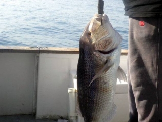  Pesca en el mar de Sicilia 